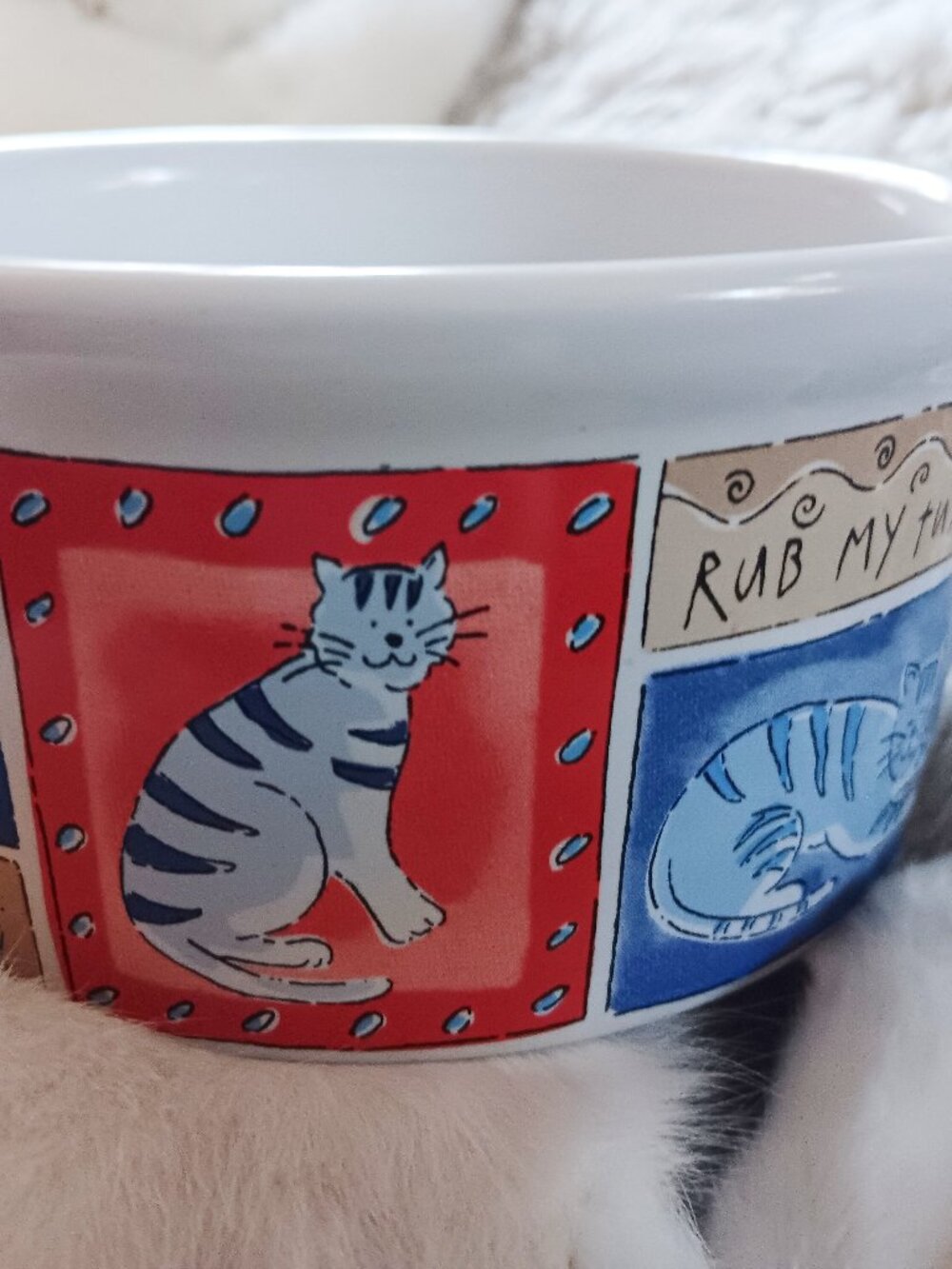 Here, Kitty Kitty! Colorful Stoneware Cat Dish